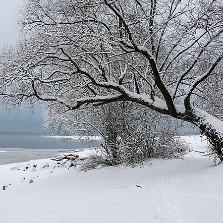 Apartament Zum Seglerhafen - *