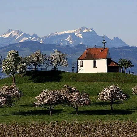 Apartament Zum Seglerhafen - Kressbronn am Bodensee
