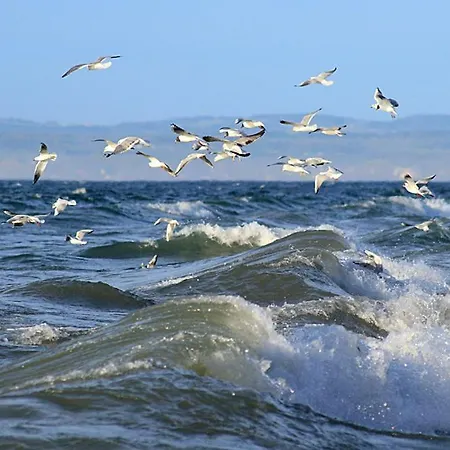 Zum Seglerhafen - Apartament